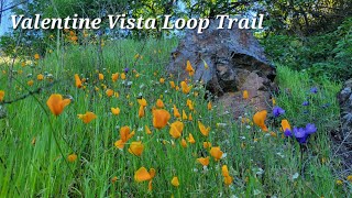 Valentine Vista Loop Trail  Moore Creek park [upl. by Davie883]