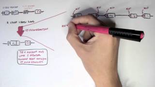 Immunology  Antibody Somatic VDJ Recombination II [upl. by Elroy256]