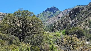 The Narrows via Fillmore Canyon Hiking Trail in the Organ Mountains [upl. by Hutchison]