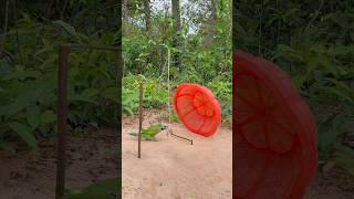 Creative Parrot Trap Using Basket youtubeshorts [upl. by Shum]