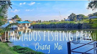 Llamados Fishing Park Chiang Mai fishingparkchiangmai chiangmai [upl. by Ennaitsirhc]