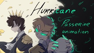 Hurricane II Passerine animation II [upl. by Cheryl]