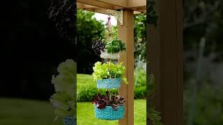 ideas de plantas colgantes para poner bonito tu hogar❤️🪴🪴⚘️🌻 [upl. by Eesdnil649]