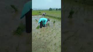 Maa sister kastam chudalekapothunna  adi kanuka ee video chuste nannu champesthundi [upl. by Oiuqise]