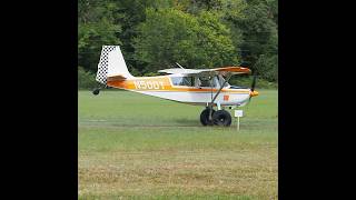 Bellanca Scout  STOL Competition aviationdaily aviationgeek stolaircraft [upl. by Analiese]