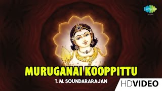 Muruganai Kooppittu  முருகனை கூப்பிட்டு  Tamil Devotional Video  TMS  Murugan Songs [upl. by Suired]