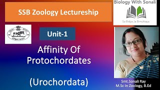 Affinity of Protochordates  Affinity of Urochordata  biologywithsonali ssbodisha zoology [upl. by River]