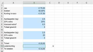 Percentages berekenen in Excel [upl. by Eiwoh853]