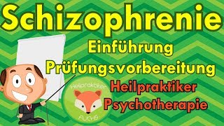 Heilpraktiker Psychotherapie SCHIZOPHRENIE EINFÜHRUNG  Fakten für die schriftliche Prüfung [upl. by Gae867]