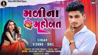 દુ ખી દીલ ની વાતVishnu Bhil Bewafa Gujarati Timli Song 2024 [upl. by Hcelemile249]