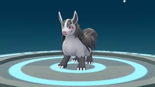 New Gen 3 Pokemon Go Poochyena to Mightyena Evolution Showcase Pokédex 261 and 262 [upl. by Ayom]