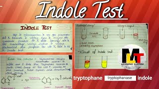 Indole test ।। Definition principle procedureuses of Indole test।। [upl. by Llyrpa]