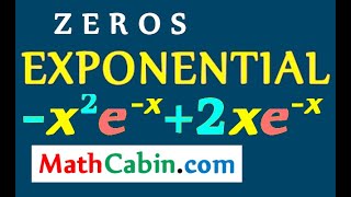 Exponential Functions Zeros problem [upl. by Ralaigh]