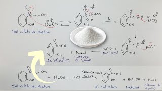 Síntesis del Ácido Salicílico  Mecanismo de Reacción [upl. by Sparkie]