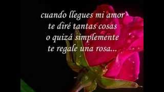 Leonardo Favio ♥ o quizá simplemente le regale una rosa letra [upl. by Ettenoitna]