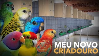 Meu novo Criadouro de Aves Exóticas  PRÓ [upl. by Okoyik]