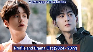 Tang Xiao Tian and Wei Zhe Ming  Profile and Drama List 2024  20 [upl. by Eikceb]