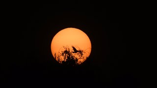 Sunset in Falkensee Havelland Brandenburg near Berlin Spandau Germany on June 1 2023 [upl. by Samaj]