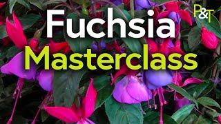 Fuchsia Masterclass potting pruning cuttings hardiness  Pots amp Trowels [upl. by Deerdre]