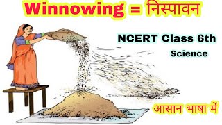 Winnowing in hindi  Difference between threshing and Winnowing  Class 6th Science Yogesh Bhardwaj [upl. by Romo770]