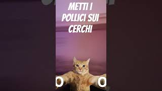 Il gatto che gira nella stanza REMAKE [upl. by Ailyt]