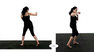 Female Punch  Slow motion Animation Reference Body Mechanics [upl. by Riannon]