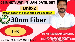 Heterochromatin Euchromatin  Chromosome  L4 Unit2 𝐆𝐞𝐧𝐞𝐬𝐢𝐬 𝐈𝐧𝐬𝐭𝐢𝐭𝐮𝐭𝐞 𝐨𝐟 𝐋𝐢𝐟𝐞 𝐒𝐜𝐢𝐞𝐧𝐜𝐞𝐬 [upl. by Eikcin611]