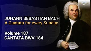 JS Bach Erwünschtes Freudenlicht BWV 184  The Church Cantatas Vol 187 [upl. by Eltsirhc]