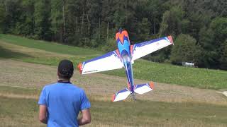 Kunstflug mit einem ferngesteuertem Modell Flugzeug [upl. by Buford]