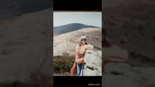 Mourning Dove along the Appalachian Trail Adventure Hikes 1980s Rhododendrons Roane Mtn TN USA 🎶 [upl. by Isnam611]