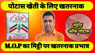 potas fertilizer kya hota hai ।। types and application of potas ।। MOP khad vs SOP khad ।। [upl. by Keever885]