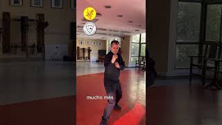 Wing Chun y la guardia técnica  boxística [upl. by Ahsaela]