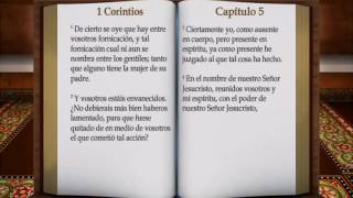 La Palabra de Dios 1 Corintios Biblia hablada RV 1960 [upl. by Hamford]