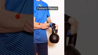 Kettlebell Wrist Curls  Forearm Flexion for Armwrestling [upl. by Okimuy884]