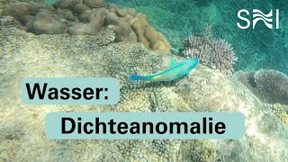 Dichteanomalie des Wassers [upl. by Ingmar]