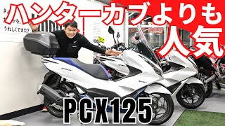 実は…ハンターカブよりも人気がある原付二種PCX125！実用性抜群で販売台数No1です [upl. by Anoyk641]