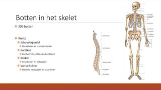 51  Het skelet van de mens [upl. by Niveek245]