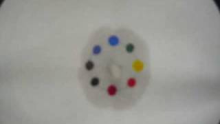 Chromatography Permanent Marker in Water [upl. by Yelserp]