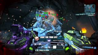 Borderlands 2  Iron GOD Spawn amp Kill [upl. by Aihsital271]