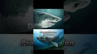 Otodus Chubutensis vs Sea Predators paleontology paleo shark megalodon vs dinosaurs animals [upl. by Jestude]