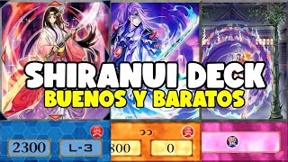 PASAN los AÑOS y este DECK SIEMPRE FUNCIONA  Shiranui para la copa KC 2024  YuGiOh Duel Links [upl. by Ahsimik]