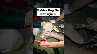 Rabies Dog Ne Kat Liya 😱  minivlog [upl. by Yhtomiht]