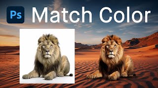 Photoshop Match Color Guide Adding Professional Touches to Your Designs [upl. by Madaih411]