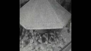 Chicks in the Brooder House [upl. by Karl]