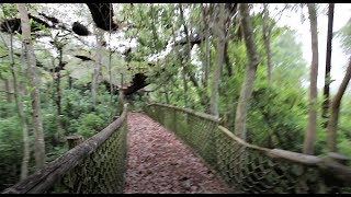 Disney Discovery Island urban exploring [upl. by Layor]