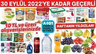 A101DE BU HAFTA NELER VAR  30 EYLÜLE KADAR GEÇERLİ  A101 AKTÜEL GIDA TEMİZLİK  A101 İndirim [upl. by Iadam]