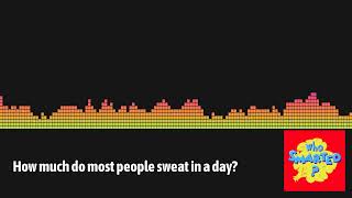 Sweat Facts  How Much Do People Sweat In A Day  Who Smarted Podcast [upl. by Ellis]