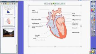 ActivInspire How to use transparency [upl. by Longo]