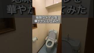 【アクセント壁紙】地味なトイレを華やかにしてみた トイレ 壁紙 リフォーム [upl. by Karin]