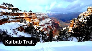 quotEPIC Winter Hike Exploring the Grand Canyons Wondersquot shorts [upl. by Almund]